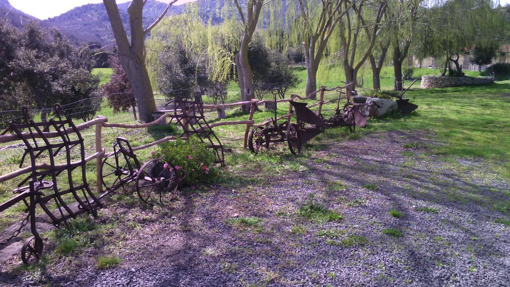Agriturismo Cugumia Thiesi 外观 照片