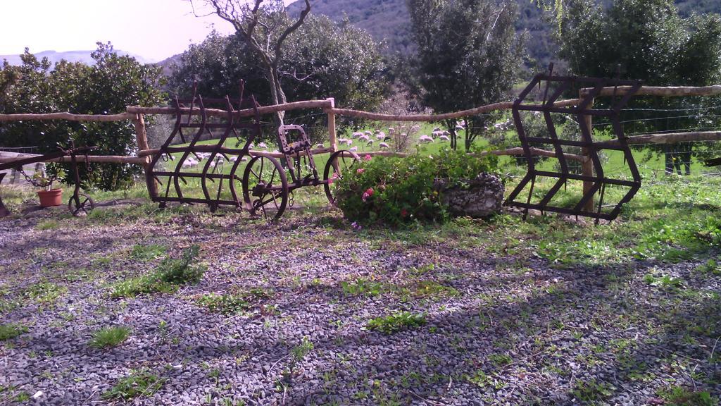 Agriturismo Cugumia Thiesi 外观 照片