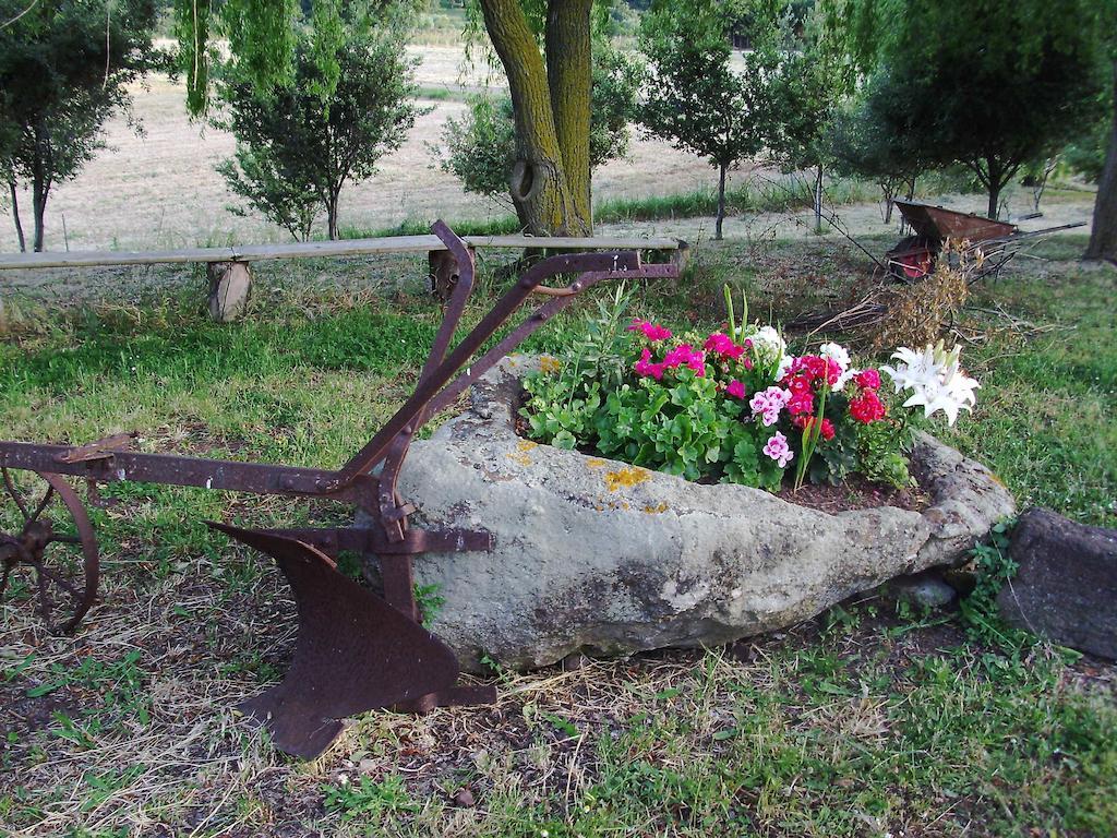 Agriturismo Cugumia Thiesi 外观 照片