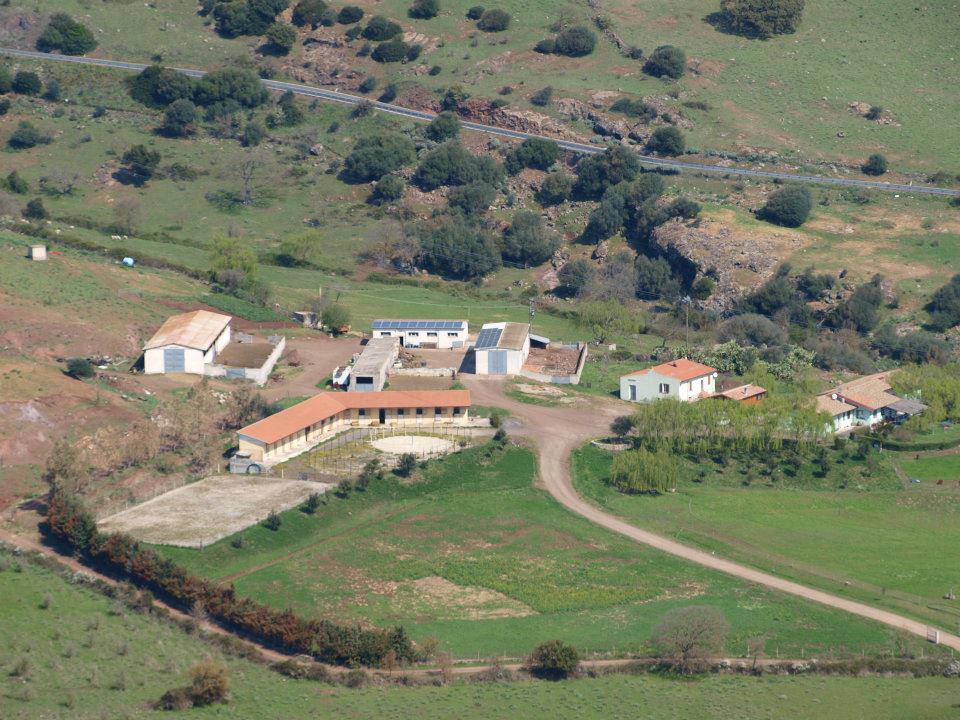 Agriturismo Cugumia Thiesi 外观 照片